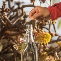 Katadyn Micropur Classic MC 1T 100 Tabletten -Camping-Ausrüstung Verkäufe 2024 rr500 840 1